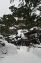 にしん御殿小樽貴賓館旧青山別邸