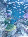 おたる水族館