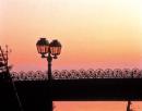 小樽運河(夜・旭橋)