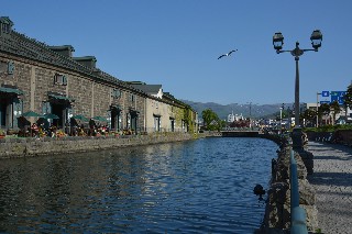 小樽運河(昼)