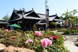 にしん御殿小樽貴賓館旧青山別邸(牡丹・芍薬まつり)