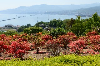 手宮公園
