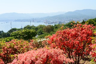 手宮公園
