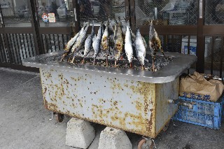 ニシン