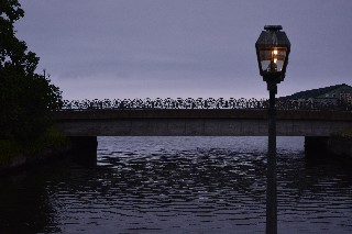 小樽運河(夜・月見橋)