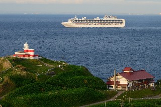 高島岬(ダイヤモンドプリンセス)