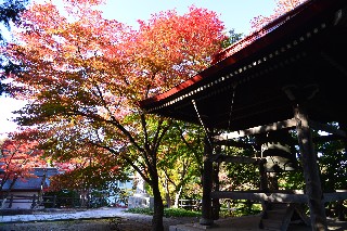 第49号天上寺本堂