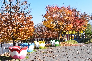 小樽公園