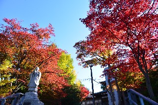 天上寺(境内)