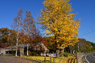 長橋なえぼ公園