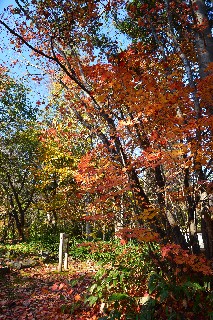 長橋なえぼ公園