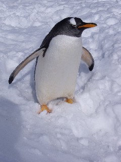 おたる水族館