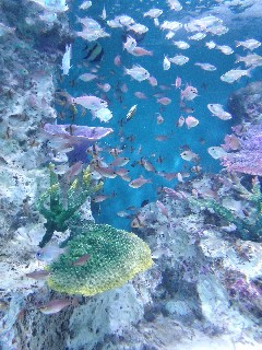 おたる水族館