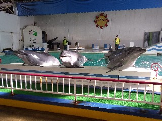 おたる水族館
