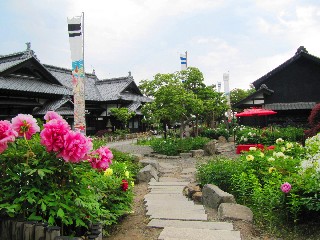 にしん御殿小樽貴賓館旧青山別邸(牡丹・芍薬まつり)