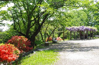 小樽公園