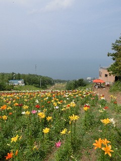 オーンズ春香山ゆり園