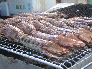 シャコ
