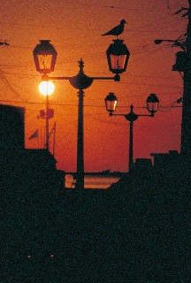 小樽運河(夜)