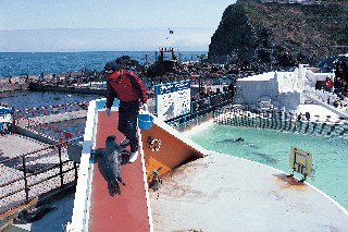 おたる水族館