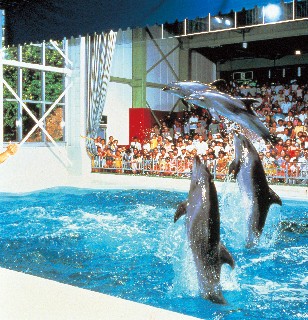 おたる水族館