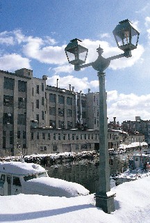 小樽運河(昼・北運河)